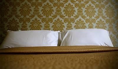 Finnegans Hostel And B&B Accommodation Tralee Eksteriør bilde